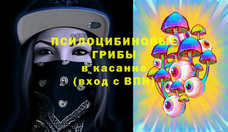 Галлюциногенные грибы Psilocybine cubensis  даркнет сайт  Гусев 